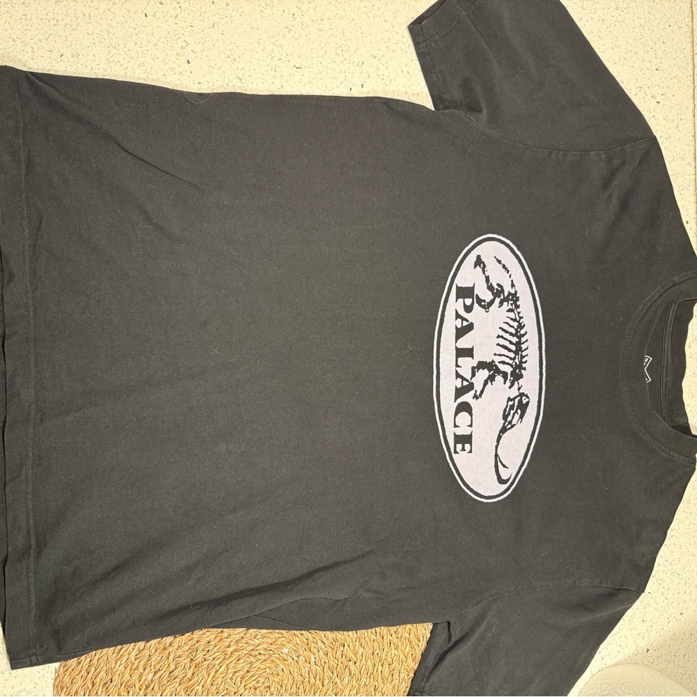 PALACE Black T-Shirt with Pale Gray Oval Dino Logo